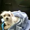 amylauder39 - @amylauder39 - TikTok