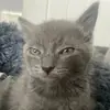 amylauder - @amylauder - TikTok