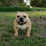 Amy Layman Krogman - @amyskrogman - Instagram