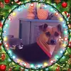 Amy Leadbetter718 - @amyleadbetter1 - TikTok