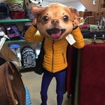 Amy Leadbetter - @lickingthelidoflife - Instagram