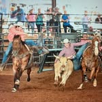 Amy Leatherman - @amy_leatherman - Instagram