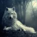 Amy Leatherman - Facebook