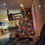Amy Dougherty - @lemleyamy - Instagram