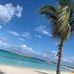 Amy Wohlgemuth Leoni - Facebook