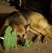 Amy Lesher - Facebook