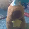Amy Letelier - @amy.letelier - TikTok
