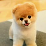 Amylie - @amylie3299 - Instagram