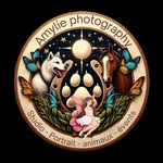 AmyLie Photography - @amylie.photography - Instagram