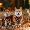 Amy Lieb - @amy.lieb31 - TikTok