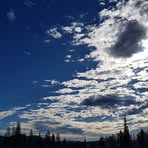 Amy Liebgott - Facebook