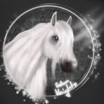 Name in sso:Anne youngstone - @amy.liebt.sso - Instagram