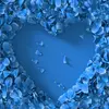 Amy  lister - @.amy_lister_4 - TikTok