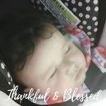 Amy Littrell - @amytree423 - Instagram