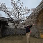 Amy Loh - @amy.loh.77312 - Instagram