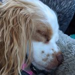 Amy Longfellow - @amylongfellow2021 - Instagram