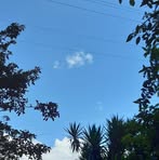 Amy Lorenzo - Facebook