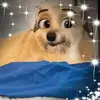 Amylor Figuerola - @amylor.figuerola - TikTok