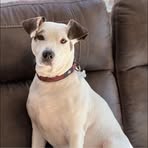 Amy Lovelace - Facebook