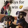 GROOMER4VETS - @amylovelace69 - TikTok