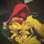 Amy K Gundersen Luce - @ymatastic - Instagram