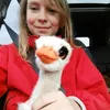 amy.ly2 - @amy.ly2 - TikTok