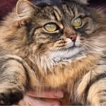 Amy - @amymabelle - Instagram