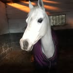 Amy - @amy_macintosh_ - Instagram