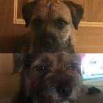 Amy Mackay - @amy_m145 - Instagram