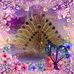 Amy Mak - Facebook