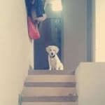 Amy Malave - @malaveamy - Instagram