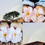 @amy_manda_02 - Instagram