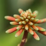 Amy Mansfield Photography - @amymansfield_naturephotos - Instagram