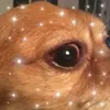 amymansfield04 - @amy.mansfield51 - TikTok