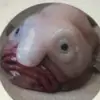 Amy Manuel - @amy.manuel - TikTok