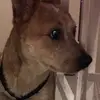 amymaples - @amymaples - TikTok