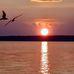 Amy Marie Longamore - Facebook