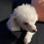 Amy Marcus - @amouse517 - Instagram