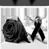 Amy Alis Marcy - @amyalismarcy - TikTok