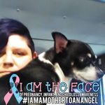 Amy Katherine Marion - @amy.marion.39501 - Instagram