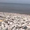 amymartini4 - @amymartini4 - TikTok