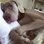 Amy Martz - @amy_martz1 - Instagram