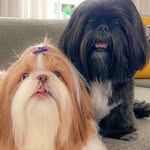 Amy & Marvin - @amy_and_marvin - Instagram