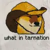 amymarvin529 - @amymarvin529 - TikTok