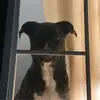 amymarvin791 - @amymarvin791 - TikTok