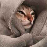 Amy Maurice - @amy.maurice.1654 - Instagram