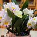 Amy Maynes - Facebook