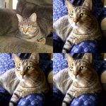 Amy Mcclain - @indysaturn1 - Instagram