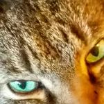 Amy McClain - @mcclain6398 - Instagram