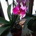 Amy McClellan - Facebook